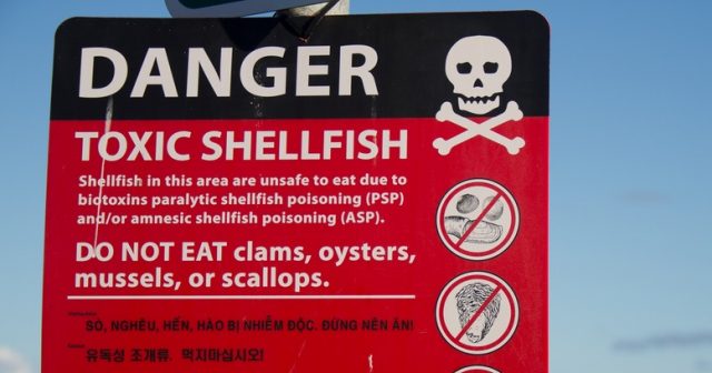 High heat, low tide likely triggering spike in shellfish-linked infections
