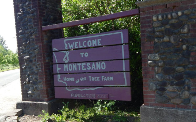 Rognlin’s Inc. wins bid for Montesano waste water plant project