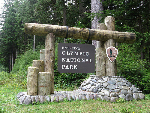 Campfire ban lifted for Olympic National Park and National Forest