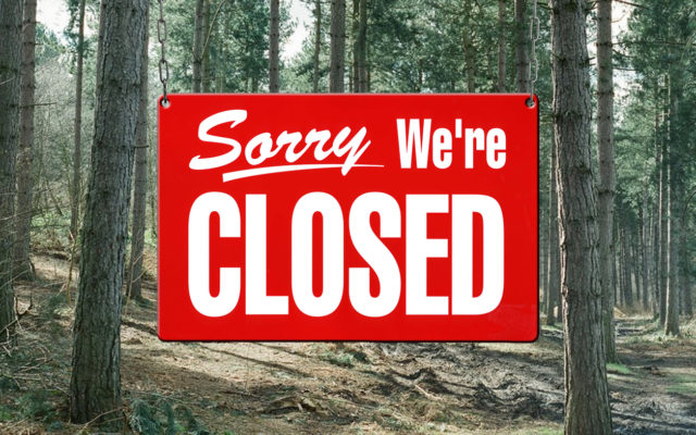 Local forest lands closed due to fire danger