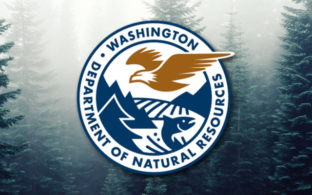 Department of Natural Resources launches carbon project; Grays Harbor in initial phase