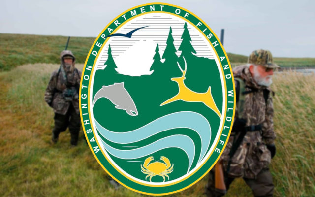 WDFW seeking applicants for positions on waterfowl advisory group