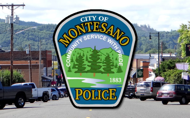 Montesano Police arrest student after school shooting statements