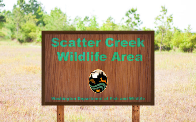 Scatter Creek Wildlife Area planning at upcoming meeting