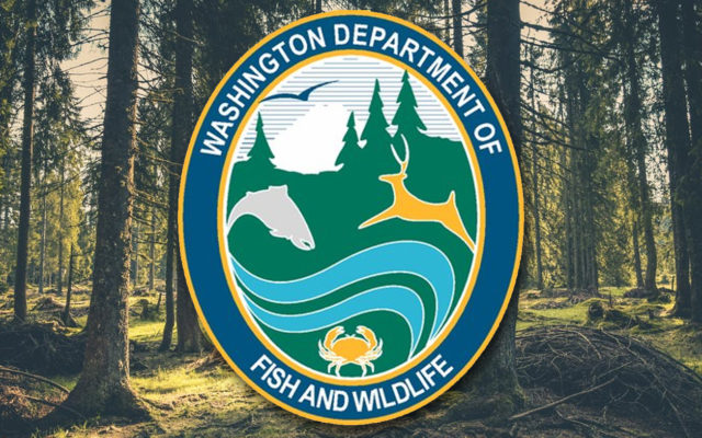 WDFW creates new wildlife rehabilitation advisory group