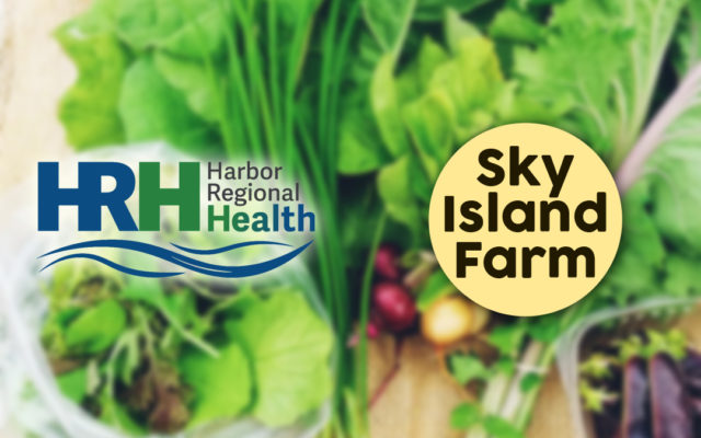 Local vegetables coming to local hospital patients