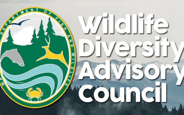 Members needed for Wildlife Diversity Advisory Council