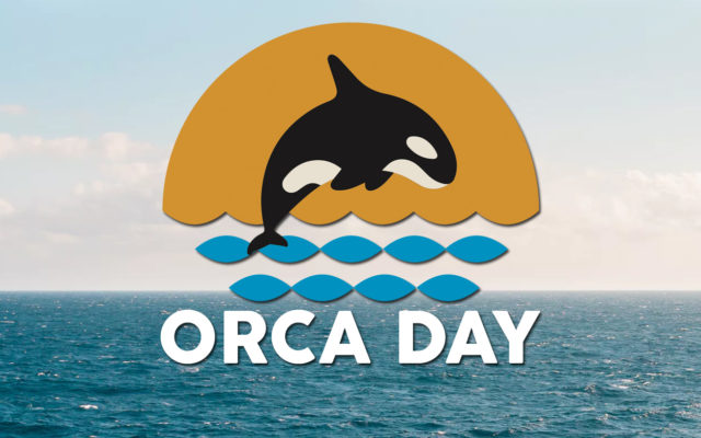 Orca Day is coming to Pacific County