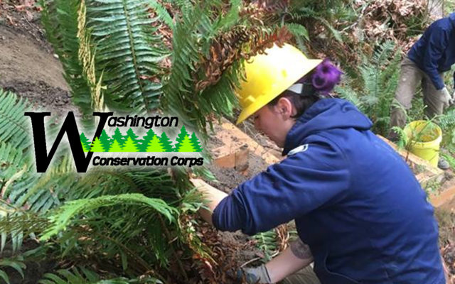 Washington Conservation Corps has 300 environmental positions statewide; local spots open