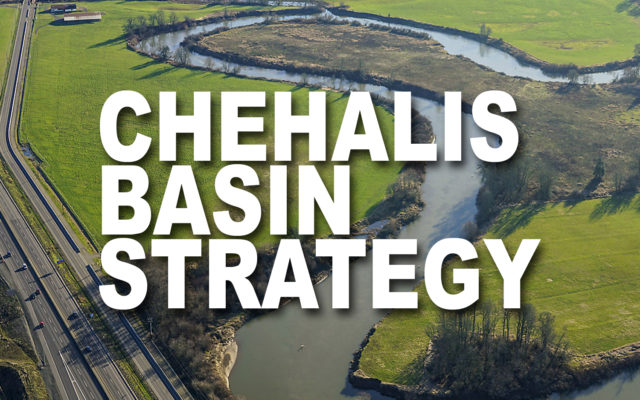 Two virtual meetings scheduled for Chehalis River Basin Flood Damage Reduction Project federal DEIS