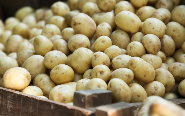 Free potatoes given away locally at 4 events Friday-Sunday