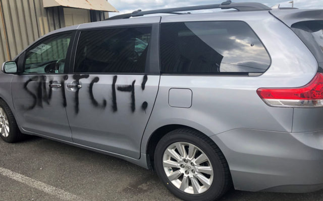 Woman arrested after businesses and vehicles spray painted