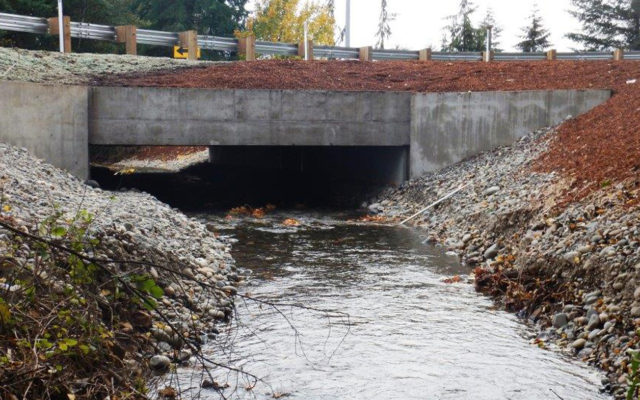 Numerous fish passage projects being planned locally