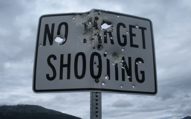 Target shooting ban on DNR land