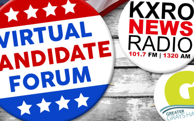 2020 Virtual Candidate Forums