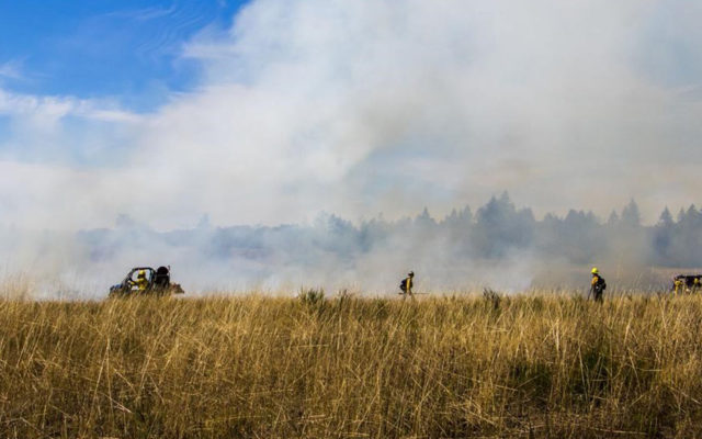 Controlled burns planned to continue near Rochester
