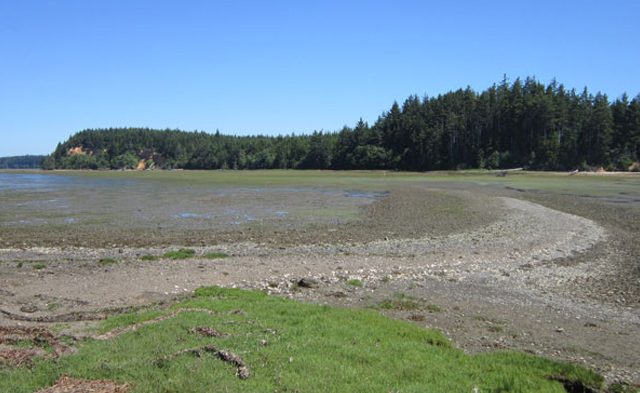 Study shows weather and shrimp create issues for Twin Harbors coastal sediment