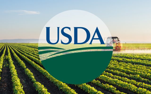 Funding for rural renewable energy available from USDA