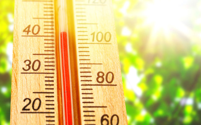 Excessive Heat Warning/Watches for Southwest Washington