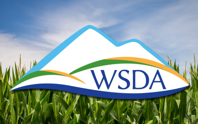 Washington receives $4.7 million in Specialty Crop Block Grant funds