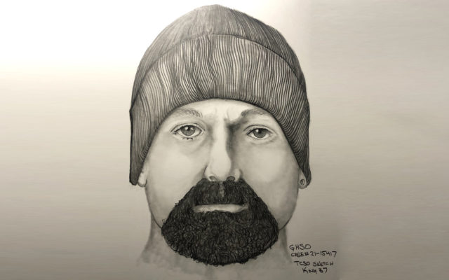 Sketch released of SR 109 robbery suspect