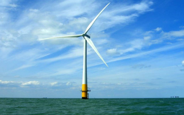 Floating wind farm proposal shows no long-term environmental effects on fish populations