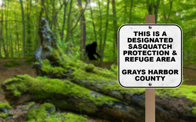 Grays Harbor designated as a “Sasquatch protection and refuge area”