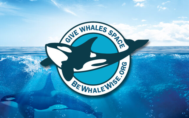 Officials are reminding boaters along the Washington coast to “Be Whale Wise”