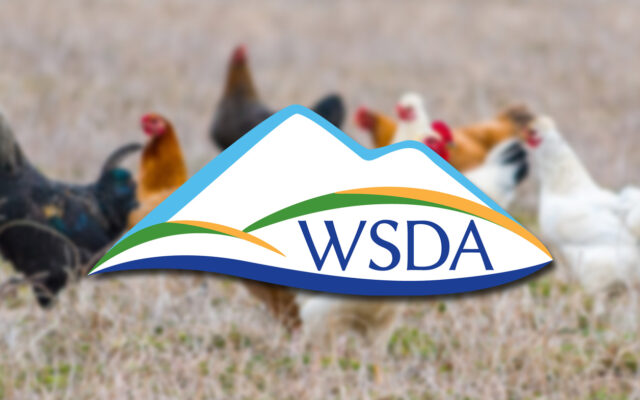 State veterinarian advises poultry markets to temporarily close