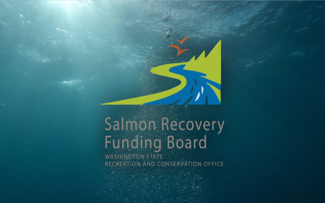 Salmon and Orca Recovery grants awarded; $4.8 million for Pacific County