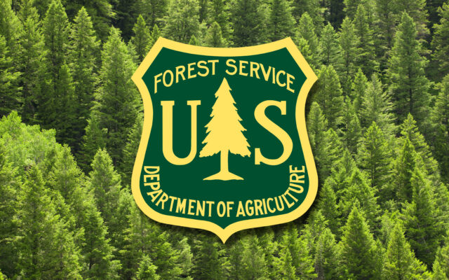 Project proposals being accepted for Olympic National Forest