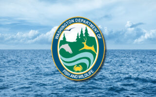 Columbia River spring salmon season approved