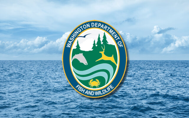 Washington salmon fishing seasons tentatively set for 2023-24