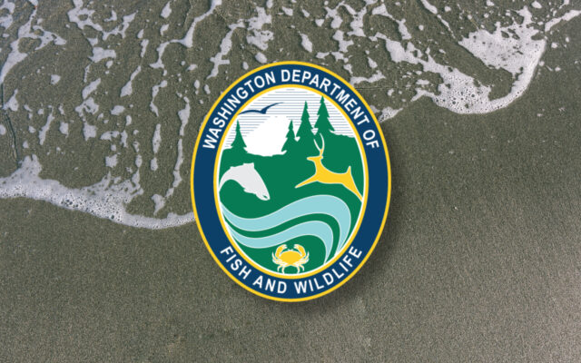 Four days of clam digs approved for Dec. 26-29
