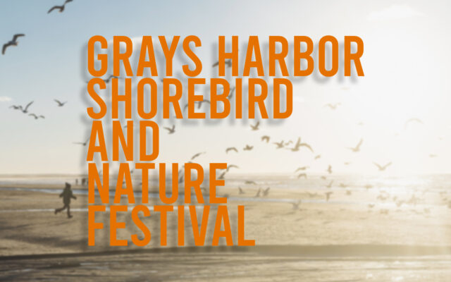 Grays Harbor Shorebird and Nature Festival set for May 5-7