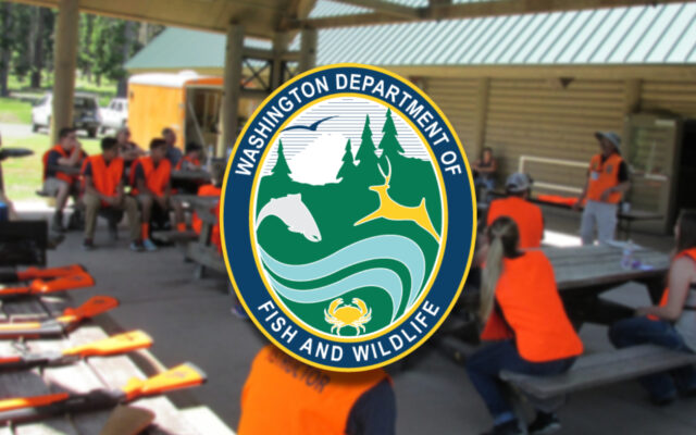 WDFW to discontinue online-only hunter education courses after May 31
