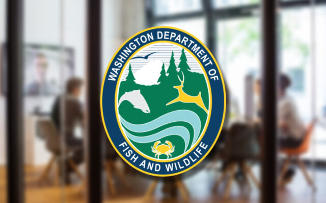 Fish and Wildlife Commission seeks public input on draft Conservation Policy