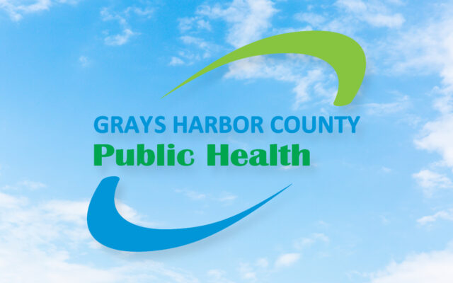 GH Public Health says recent analysis identified gaps in local early childhood services